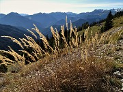 77 Scendendo sul sent. 118 verso la Baita di Monte Secco (1837 m)